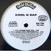 Kool G Rap - It's A Shame