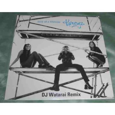 Honeyz - Love Of A Lifetime (DJ Watarai Remix)