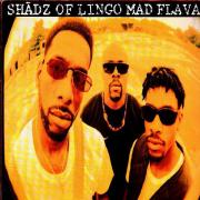 Shadz Of Lingo - Mad Flavaz